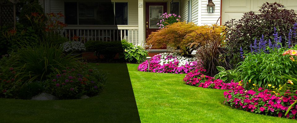 Louisburg Landscapers