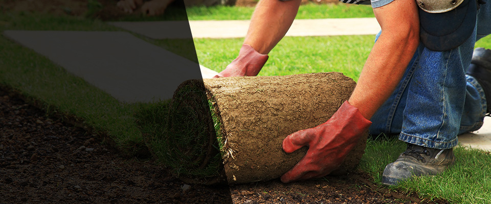 Louisburg Landscapers